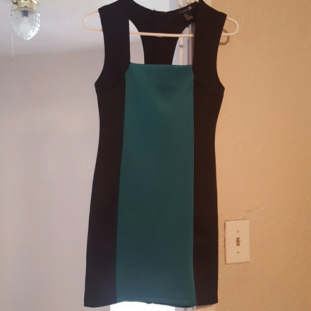 Super cute bodycon zip back dress