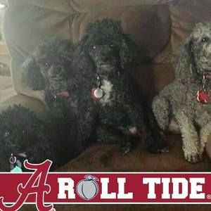 Meet your Posher, Linda