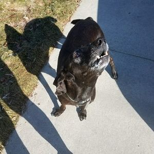 Meet your Posher, Savannah