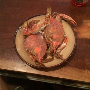 Meet your Posher, Lena