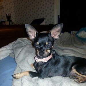 Meet your Posher, Jackie