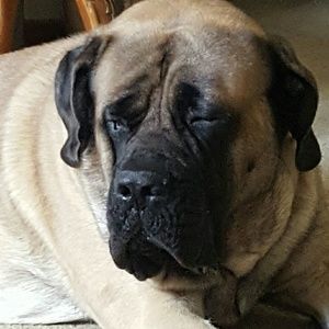 Meet your Posher, Connie