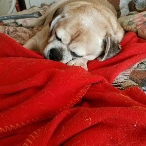 Meet your Posher, Lynn