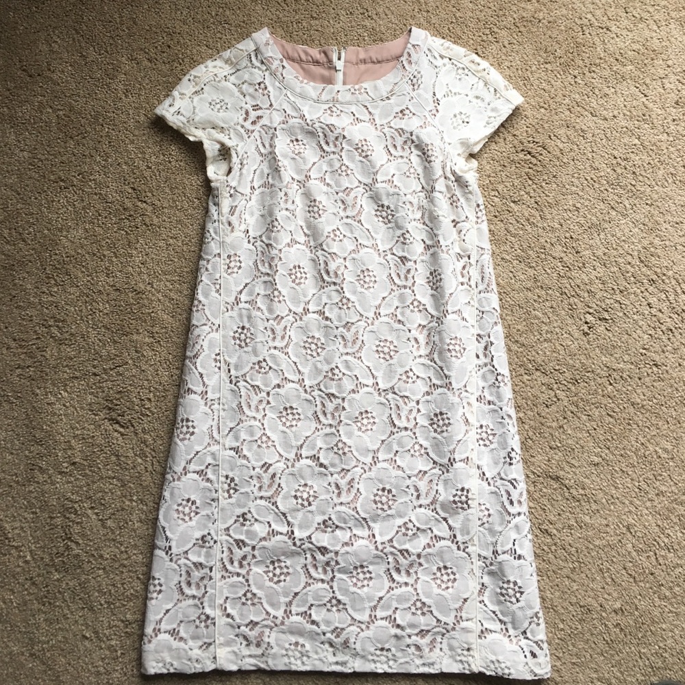 Loft ivory lace shift dress, size 0P