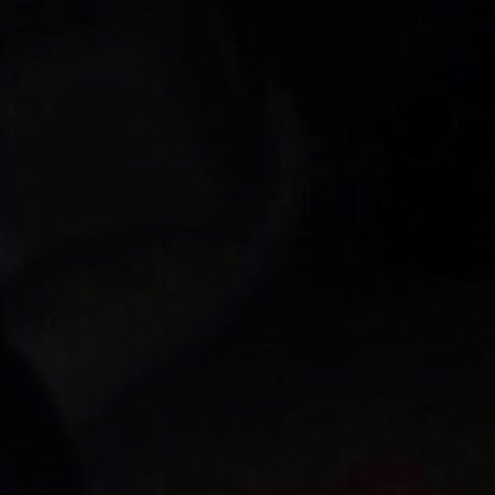 Meet your Posher, Baylinn