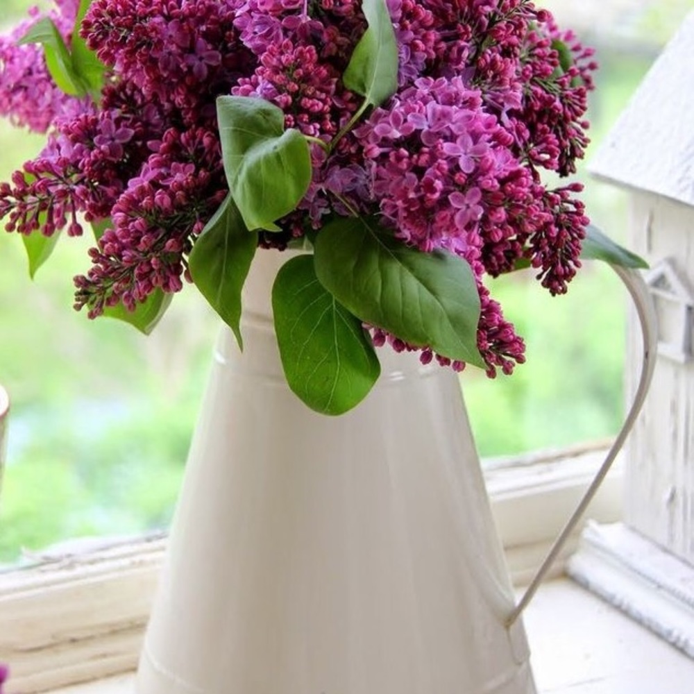 Meet your Posher, ! inna