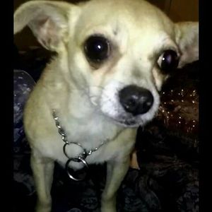 Meet your Posher, Marion