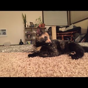 Meet your Posher, Megan