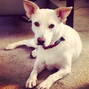 Meet your Posher, Marilia