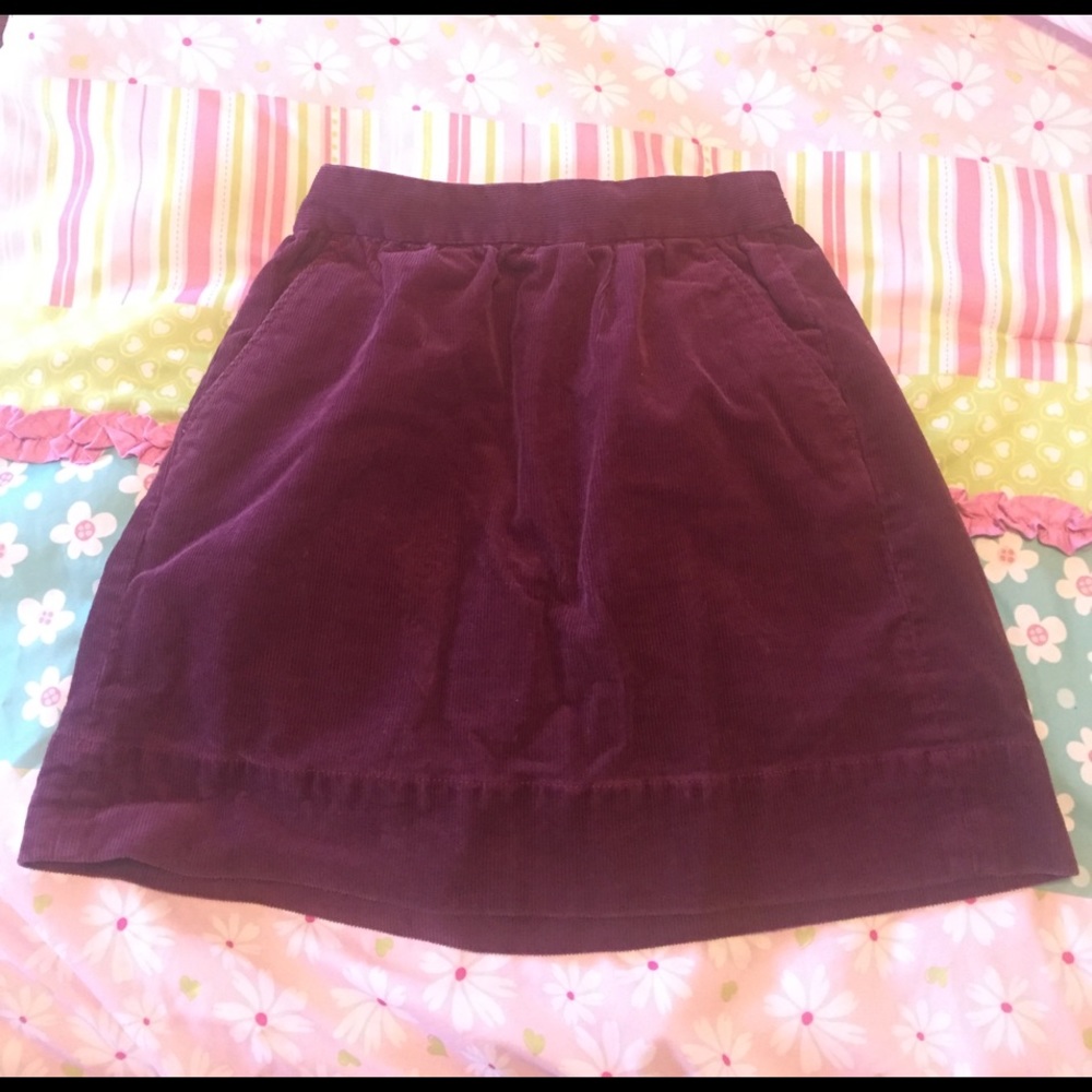Little girl JCrew skirt