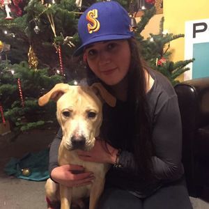 Meet your Posher, Julie