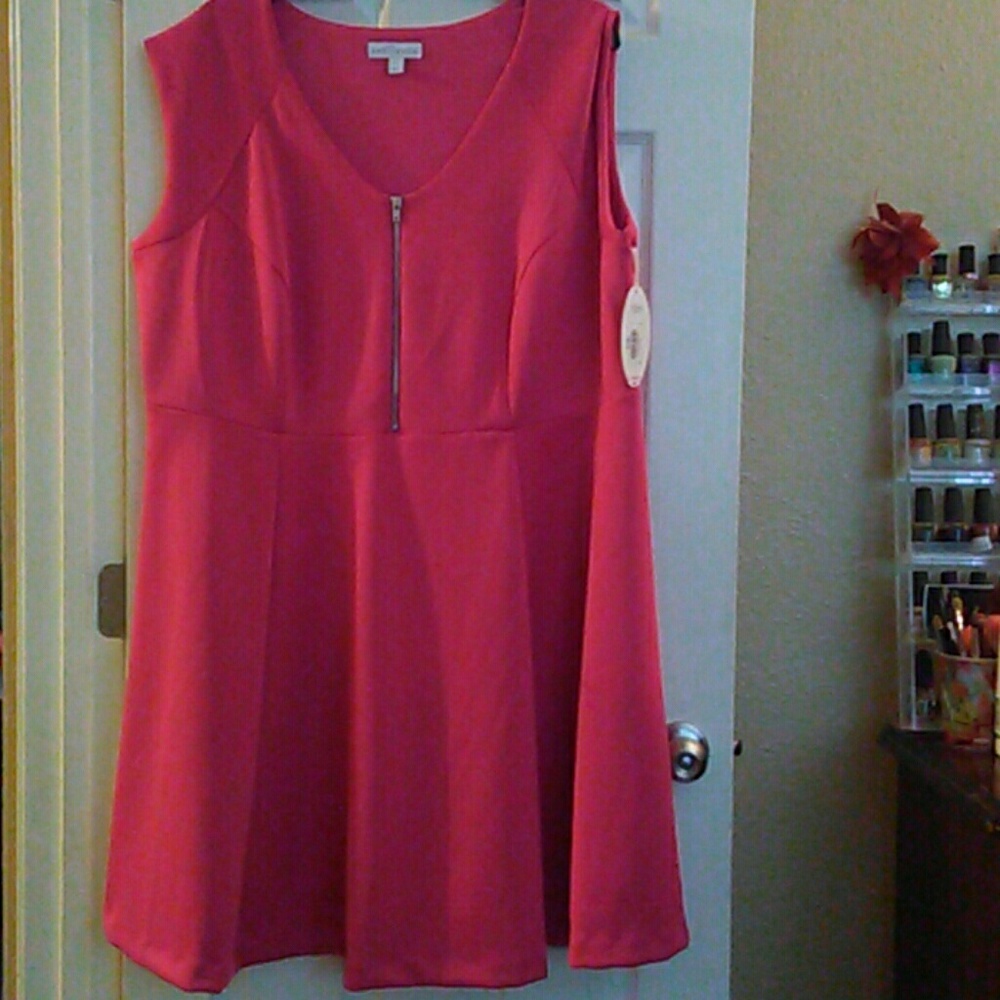 NWT Boutique dress pink size 3X