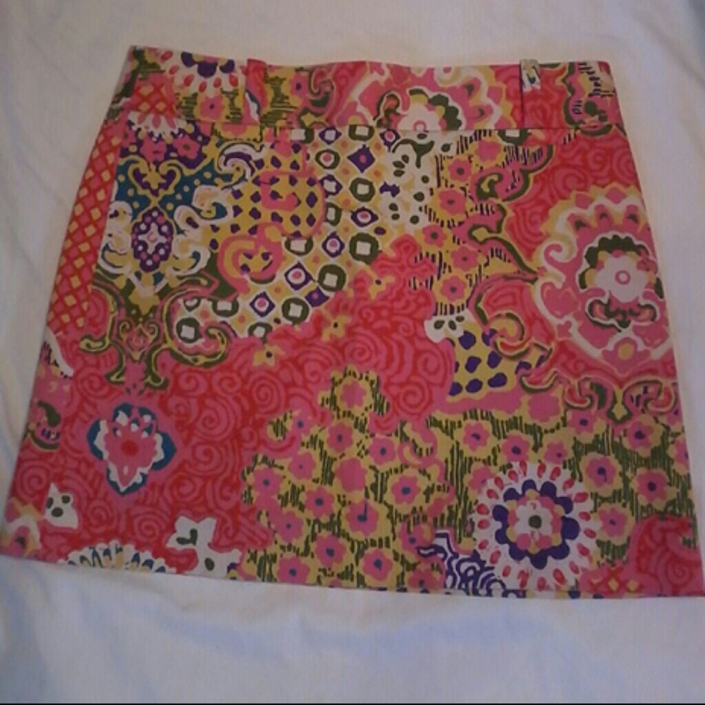 Multi Colored Stretch Skirt