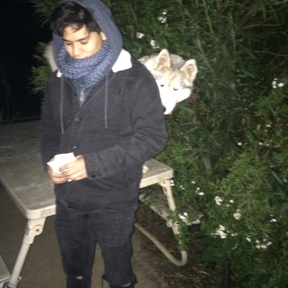 Meet your Posher, Cesar - Picture 3 of 3