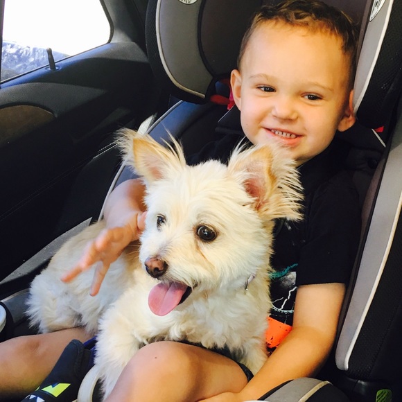 Meet your Posher, Maranda - Picture 7 of 12