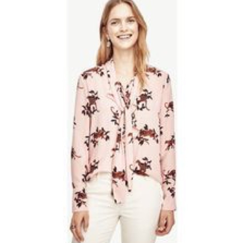 Ann Taylor Blouse