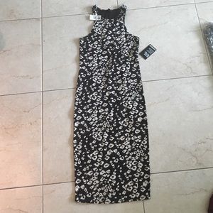 Express body con dress