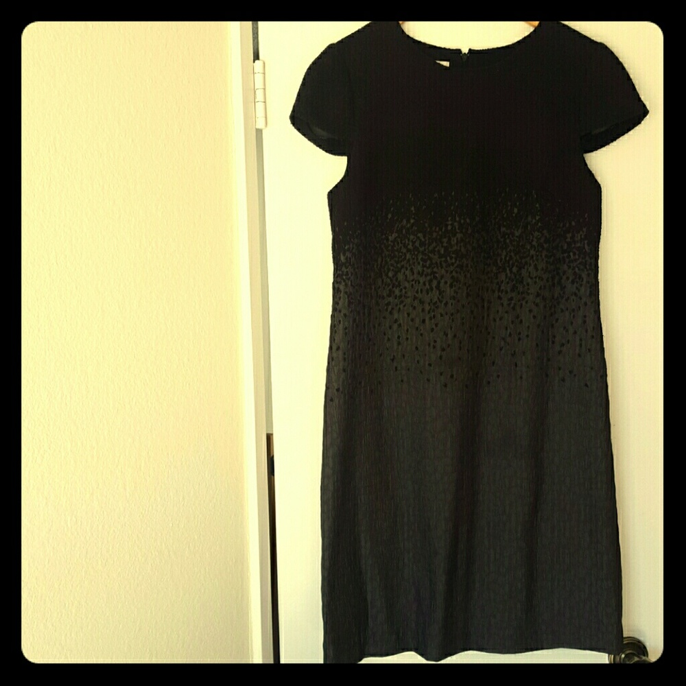 Suzi Chin for Maggy Boutique black dress
