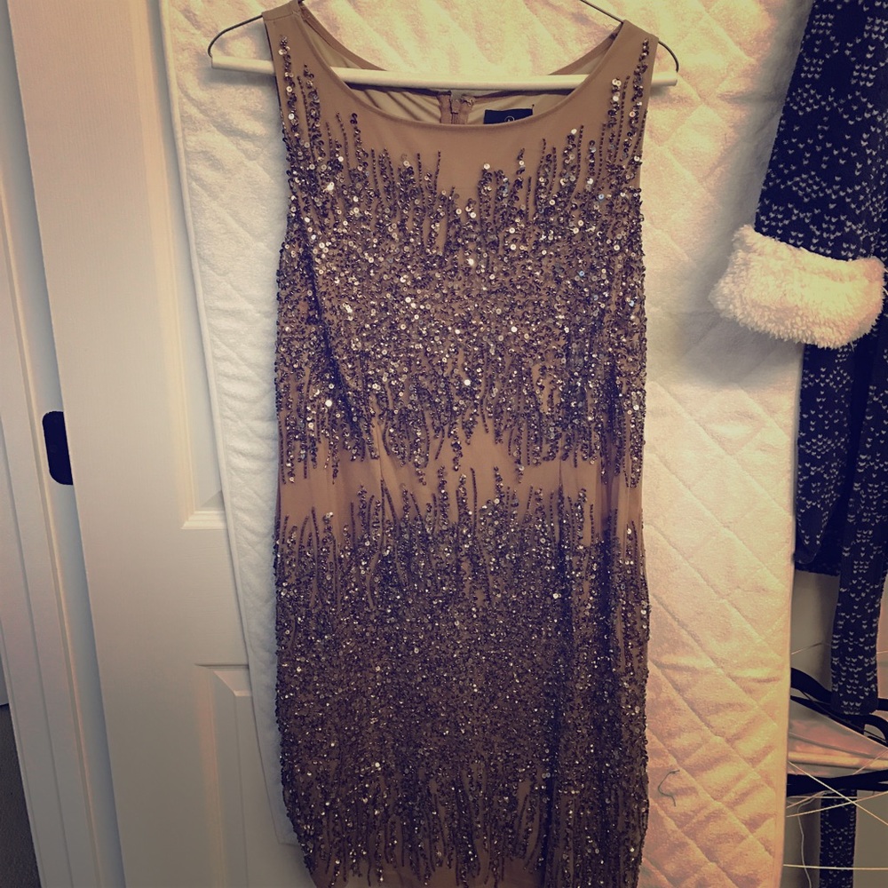 Adrianna Papell sequin cocktail dress.