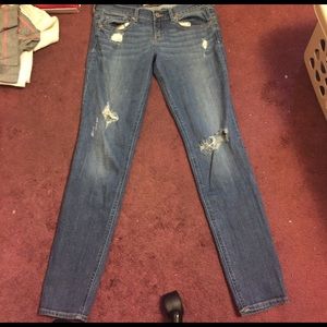 Hollister Ripped Jeans