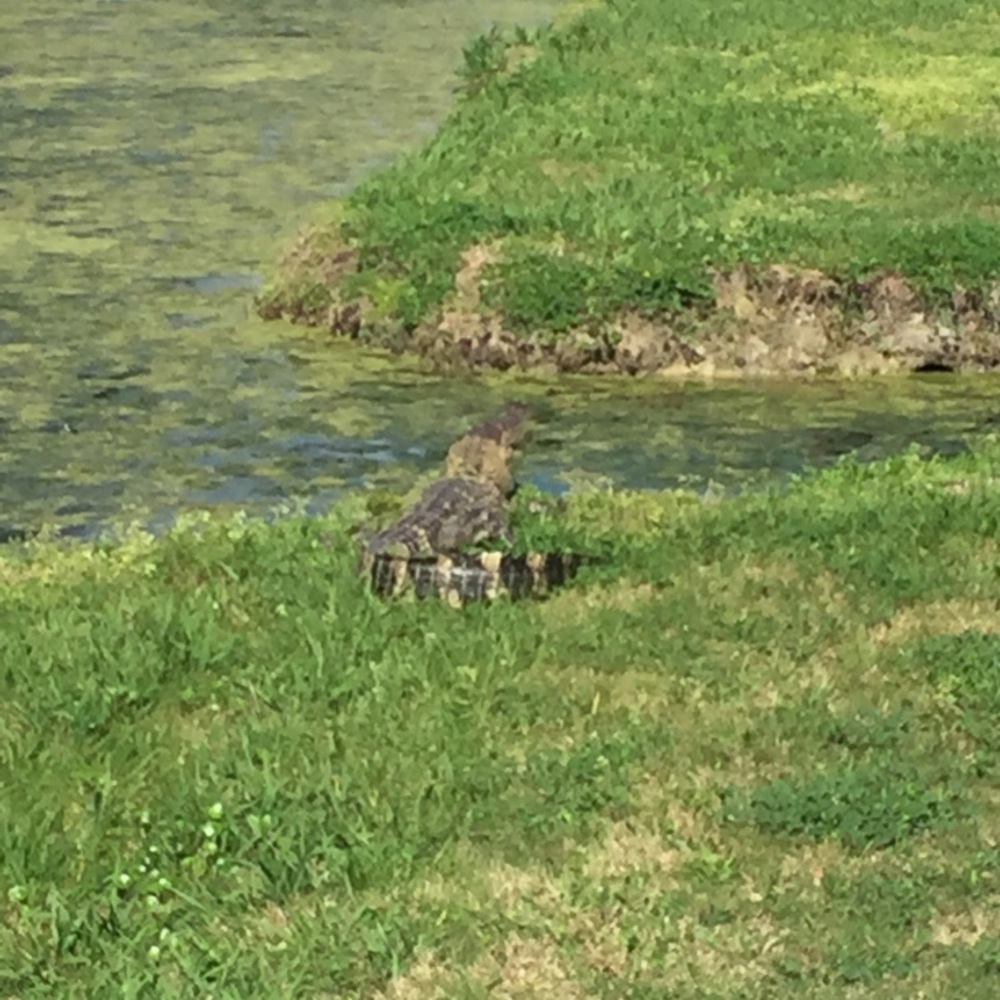 Meet your Posher, Ben