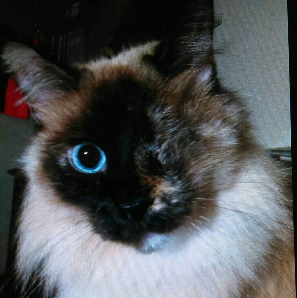 Our Mascot, Angel!!!