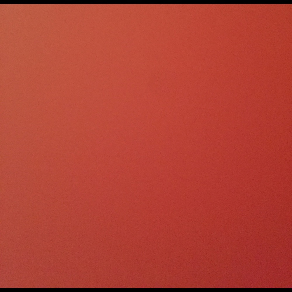 Meet your Posher, Maddy