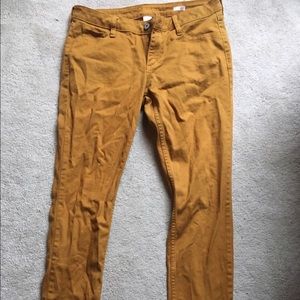 Mustard Jeans