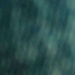 Meet your Posher, Alize