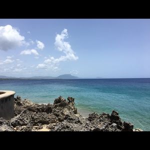 Meet your Posher, Riley