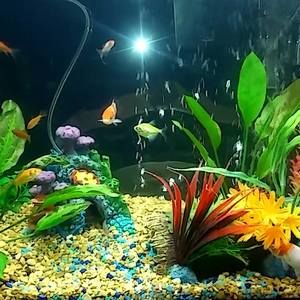 Meet your Posher, Kianne