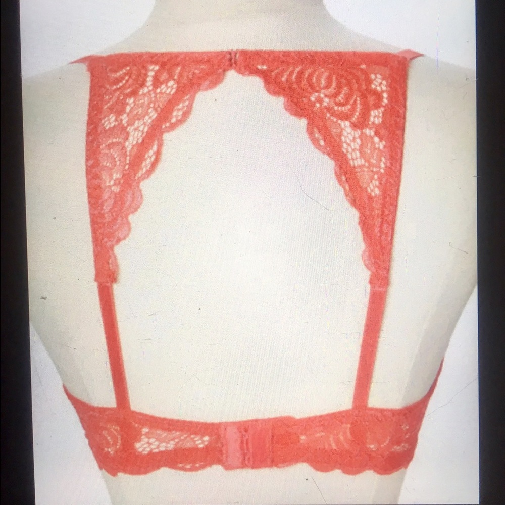 Brand New Bra with tags!