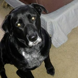 Meet your Posher, Brad