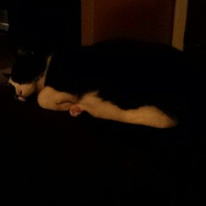 Meet your Posher, Rosemarie