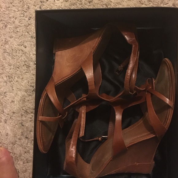 Abyssina - Picture 3 of 4