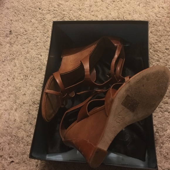 Abyssina - Picture 4 of 4