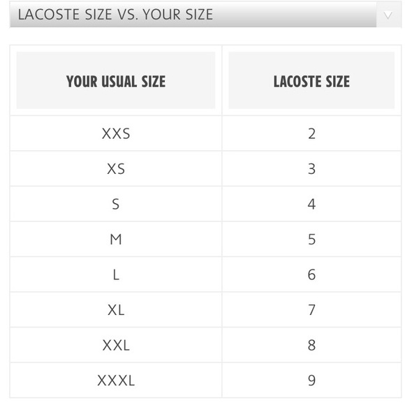 Lacoste polo - Picture 4 of 4