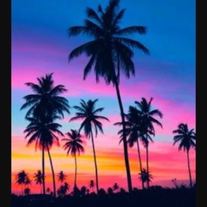 Meet your Posher, Ellie