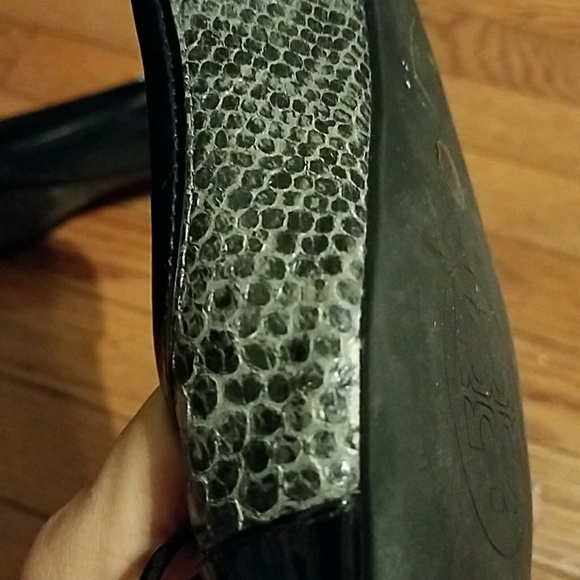 Snake skin Tory Burch Flats - Picture 4 of 8