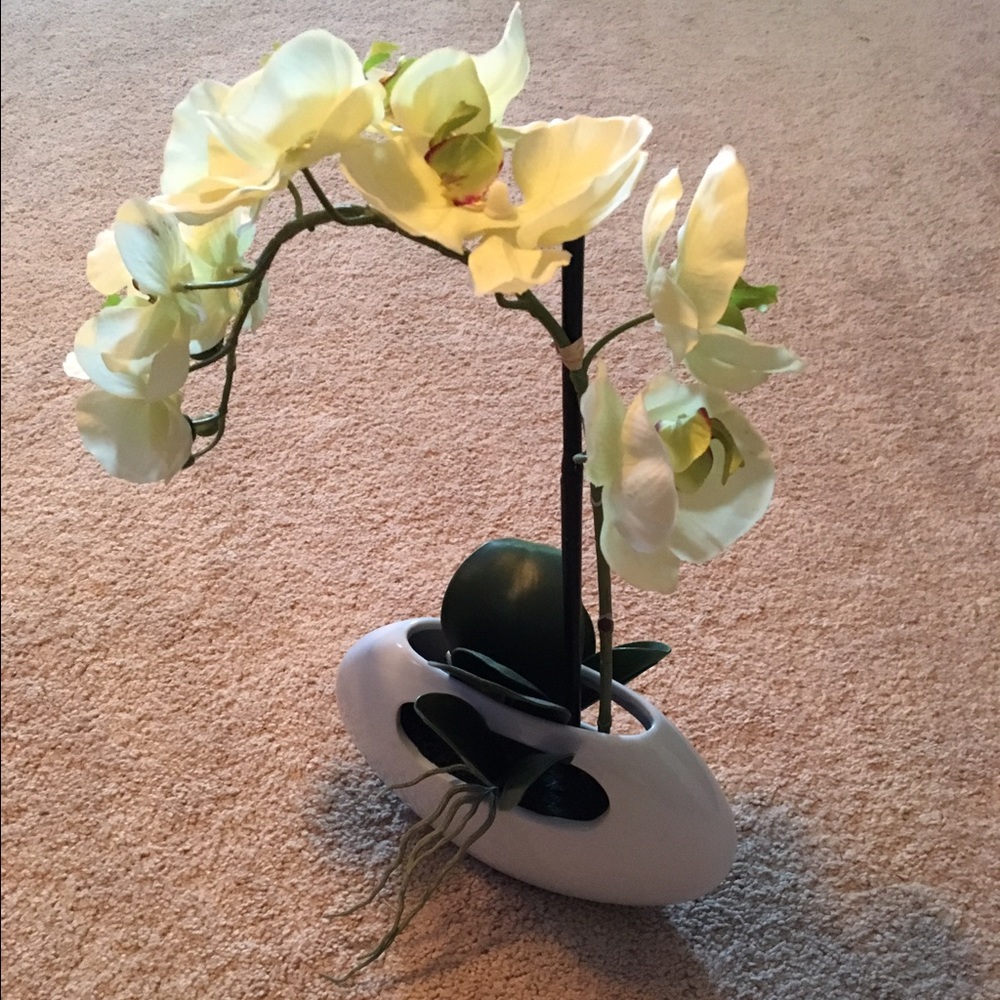2 foot decorative orchid and free accent plate