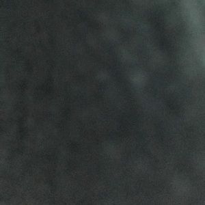 Meet your Posher, Esai