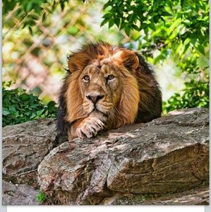 Meet your Posher, Tammy