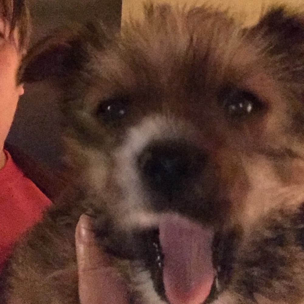 Meet your Posher, Renee