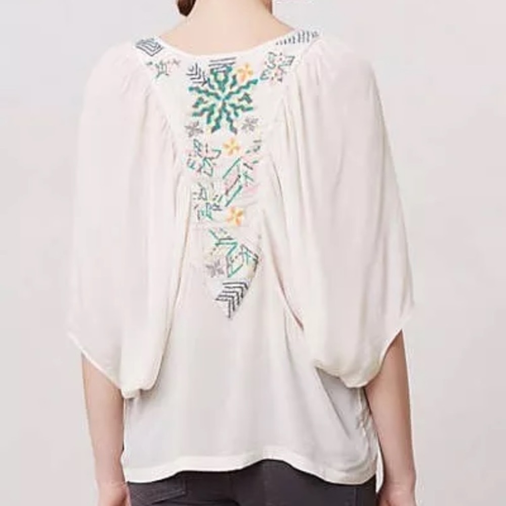Gorgeous Kashida Dolman top blouse by Tanvi Kedia!