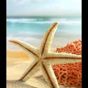 Meet your Posher, Sherri