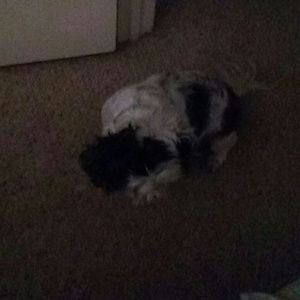 Meet your Posher, Sandra