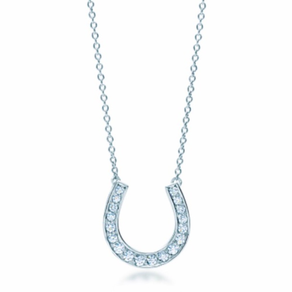 Tiffany Co Platinum/Diamond Horse Shoe Necklace