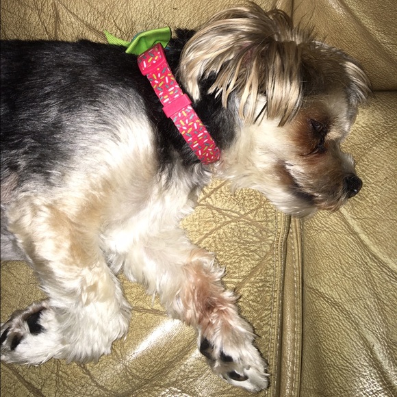 Meet your Posher, Allie - Picture 1 of 1