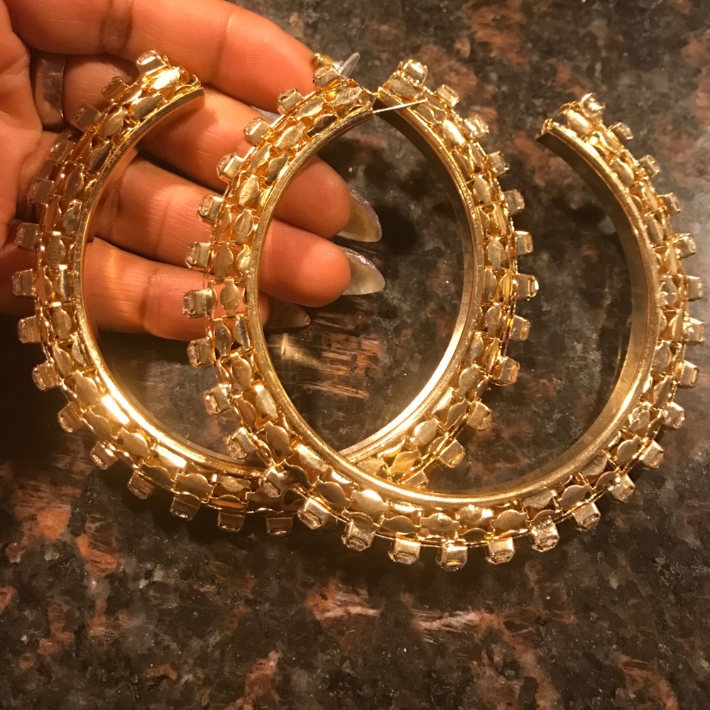 NWOT Beautiful Earrings