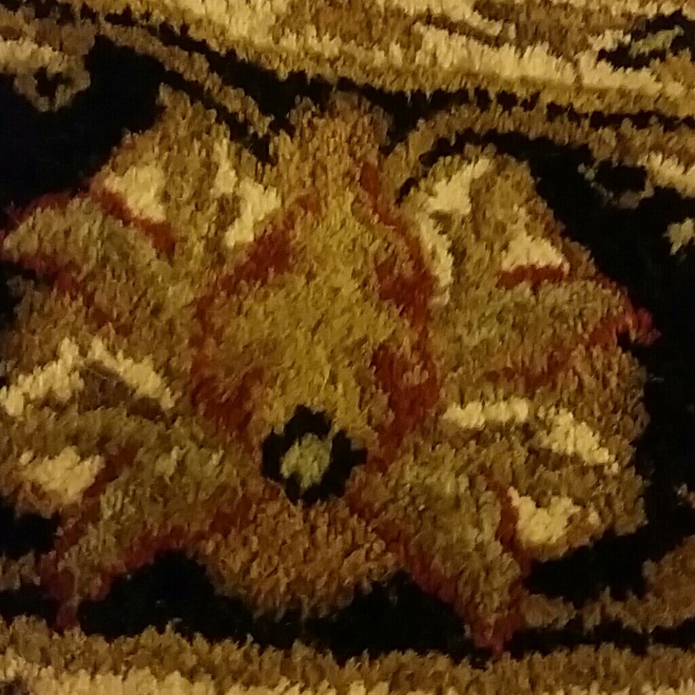 Meet your Posher, Holly